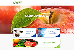 Strona WWW - Agrim