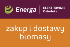 Energa - Baner internetowy